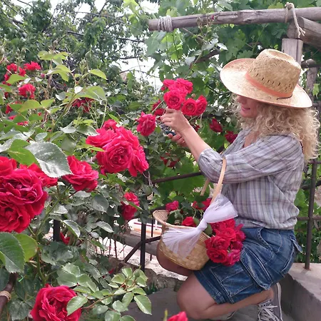 Melekler Evi Cave Urgup